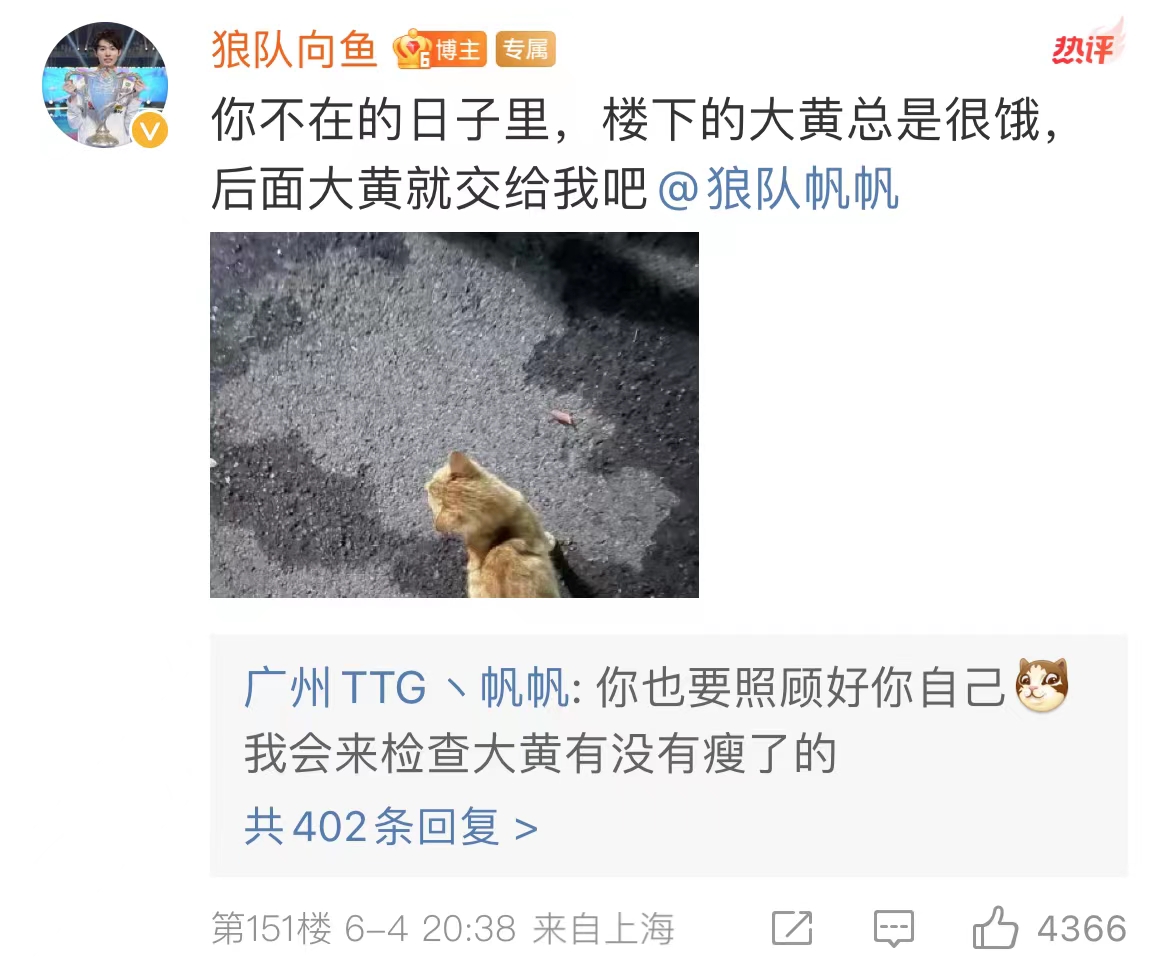 柔软与坚硬并存的帆帆：从春季夺冠到广州TTG的